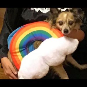 Dog Costume 🌈 Rainbow PRIDE!